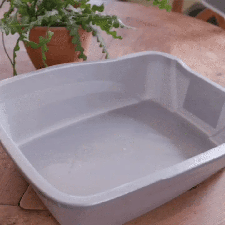 Litter Box filing pad