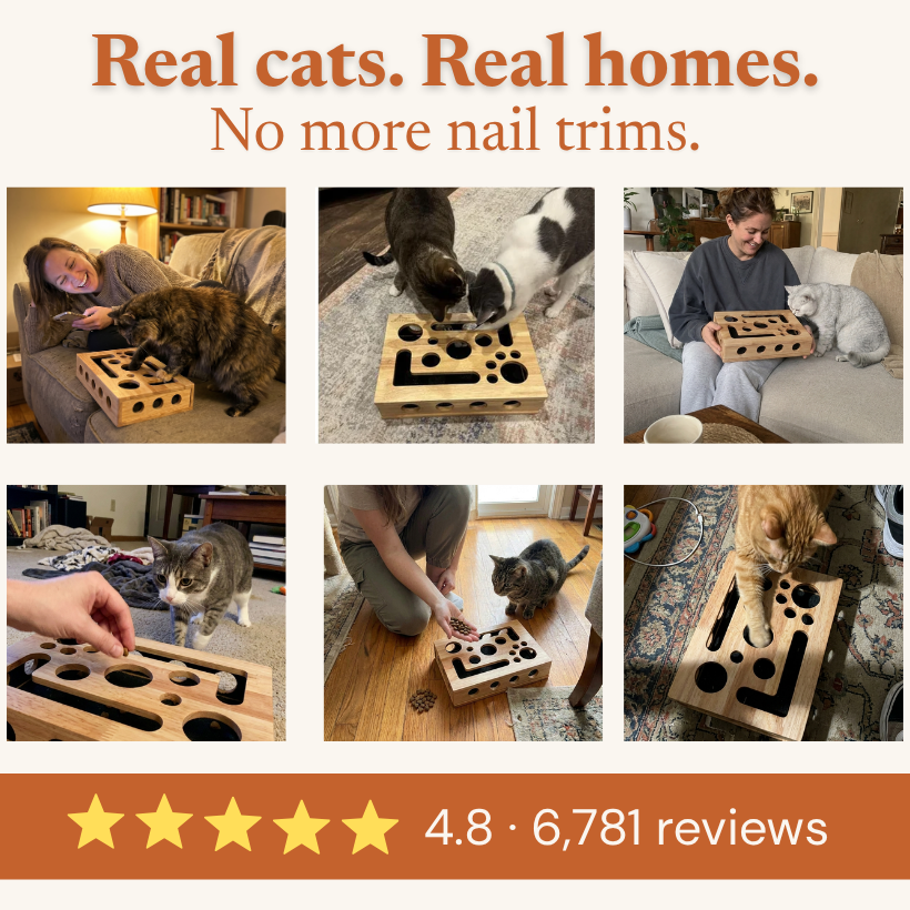 The NailNest™