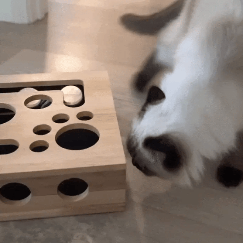Purrvia NailBox