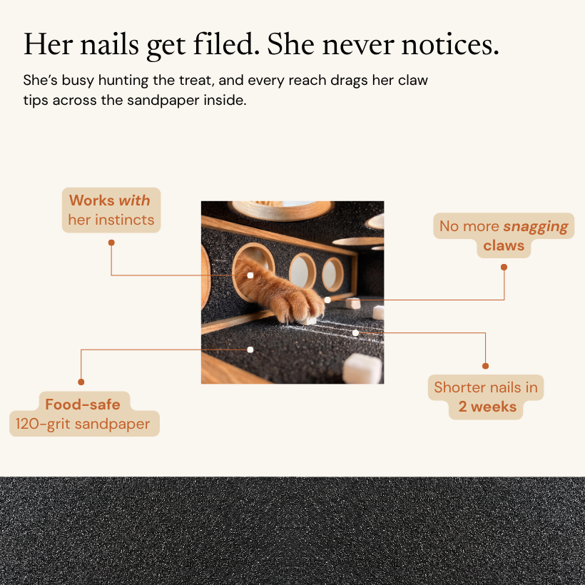 The NailNest™