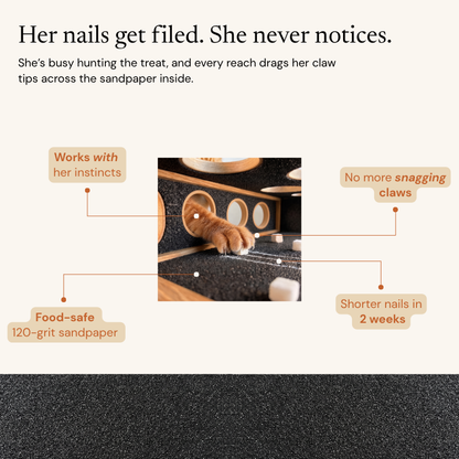 The NailNest™