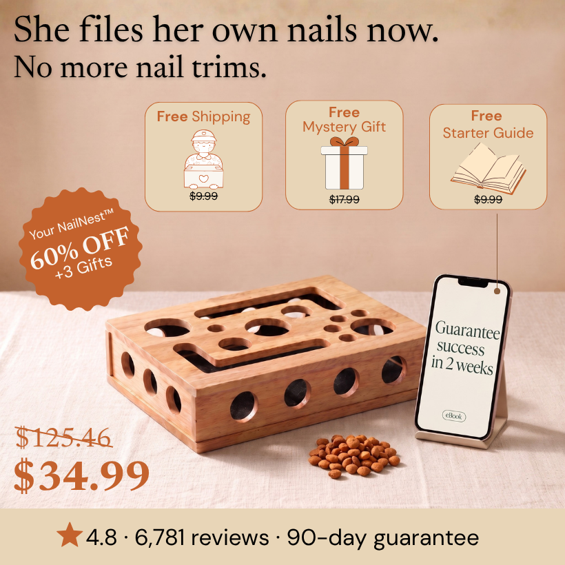 The NailNest™